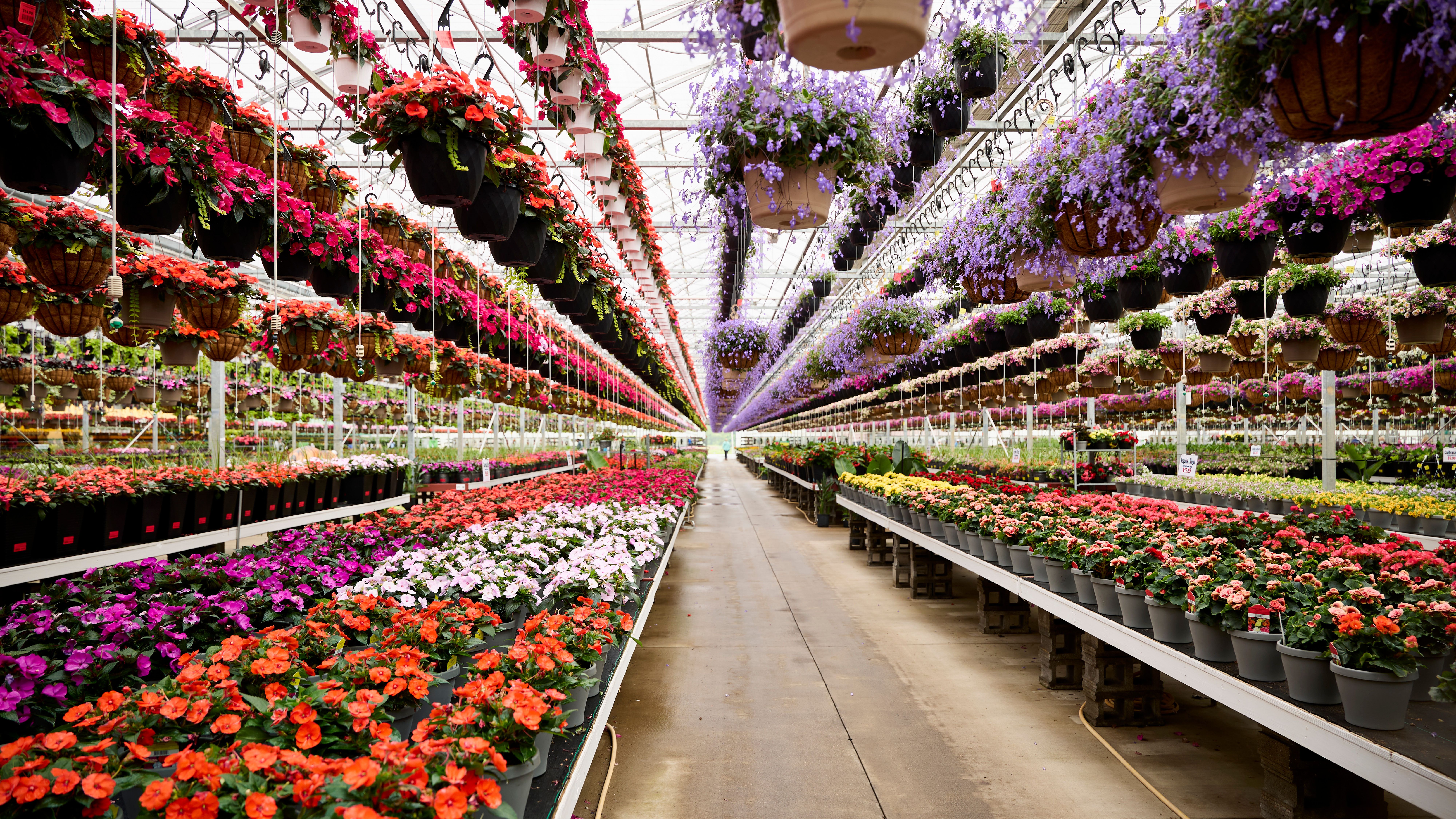 Countryside Greenhouse