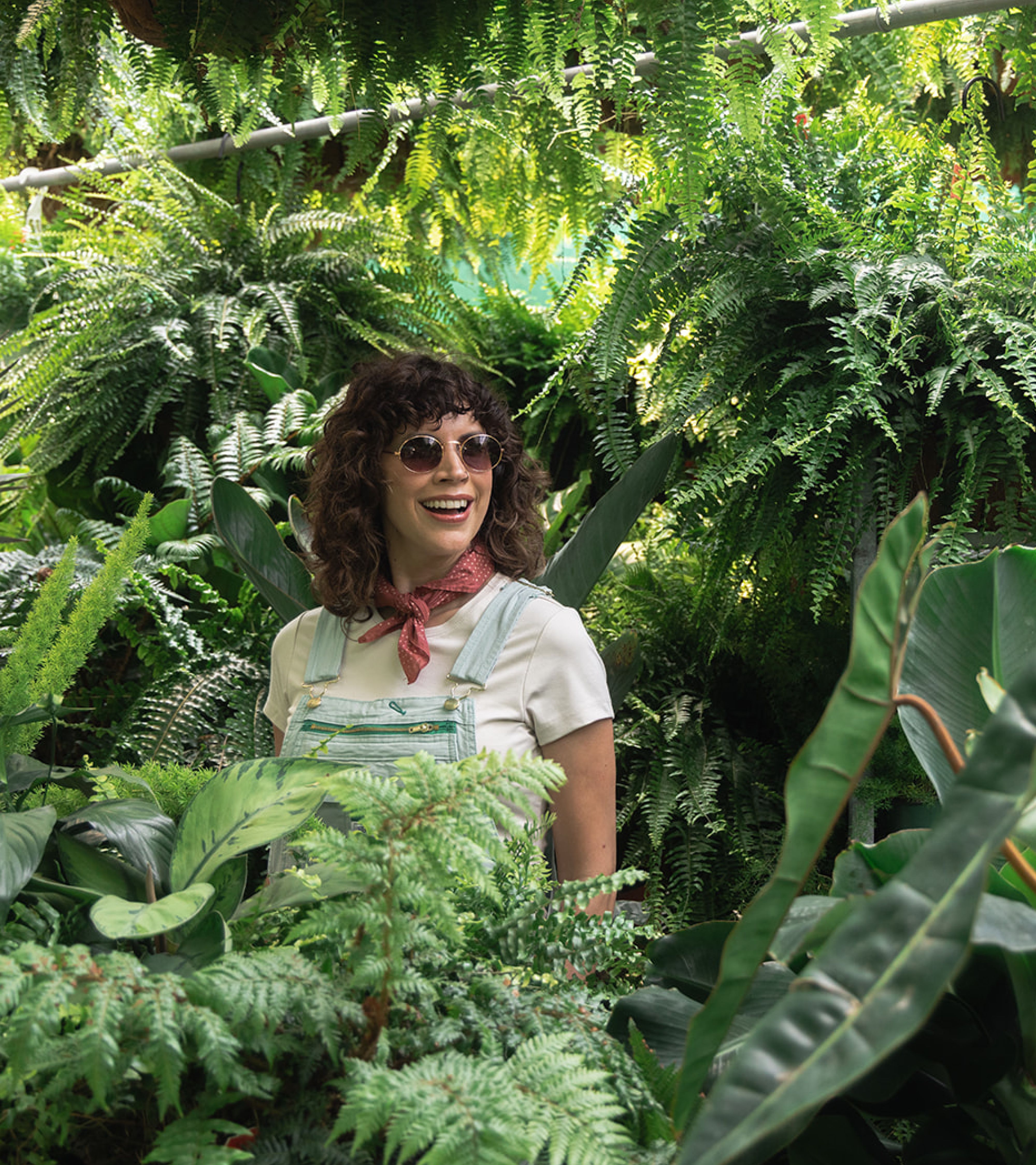 Countryside Greenhouse