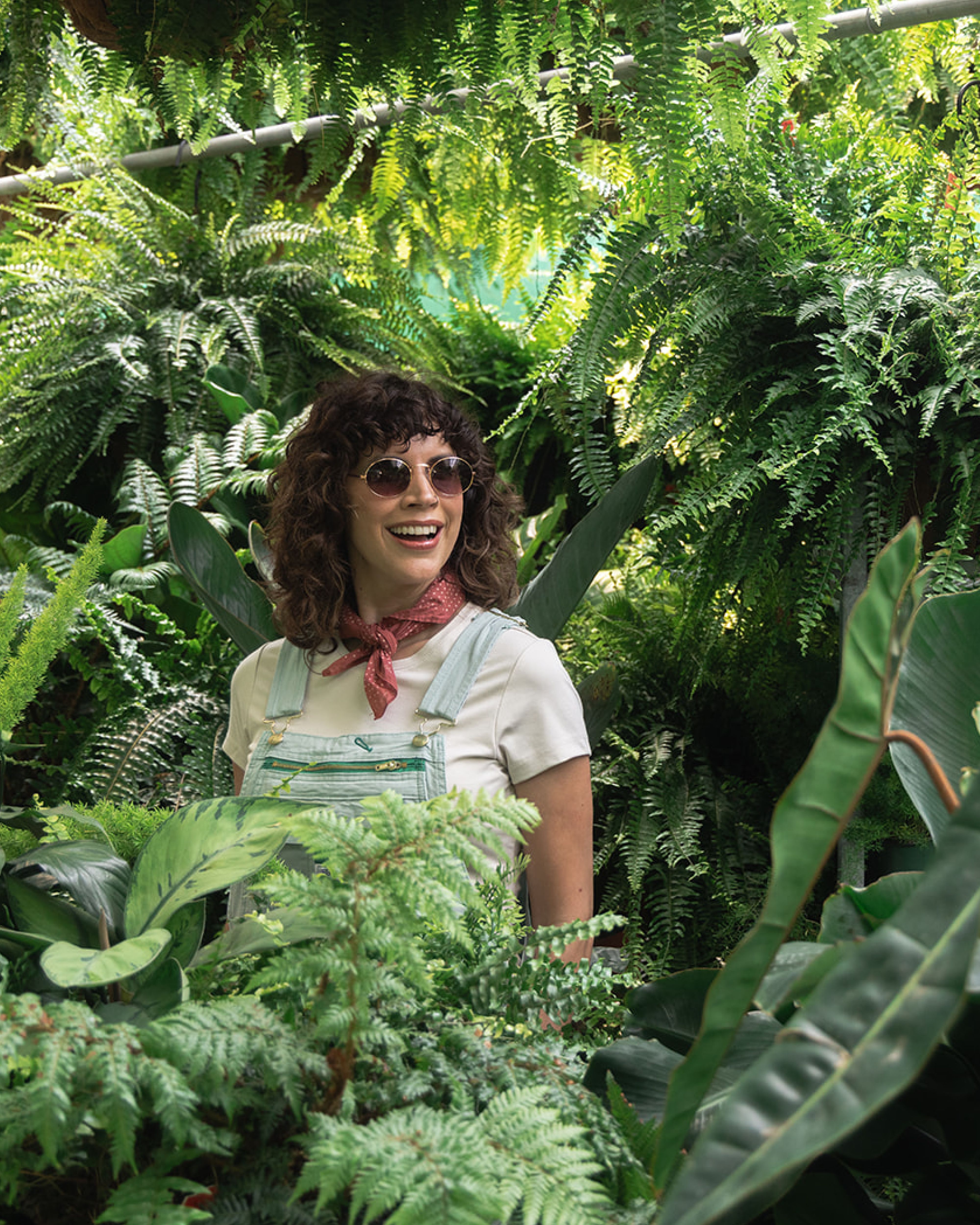 Countryside Greenhouse