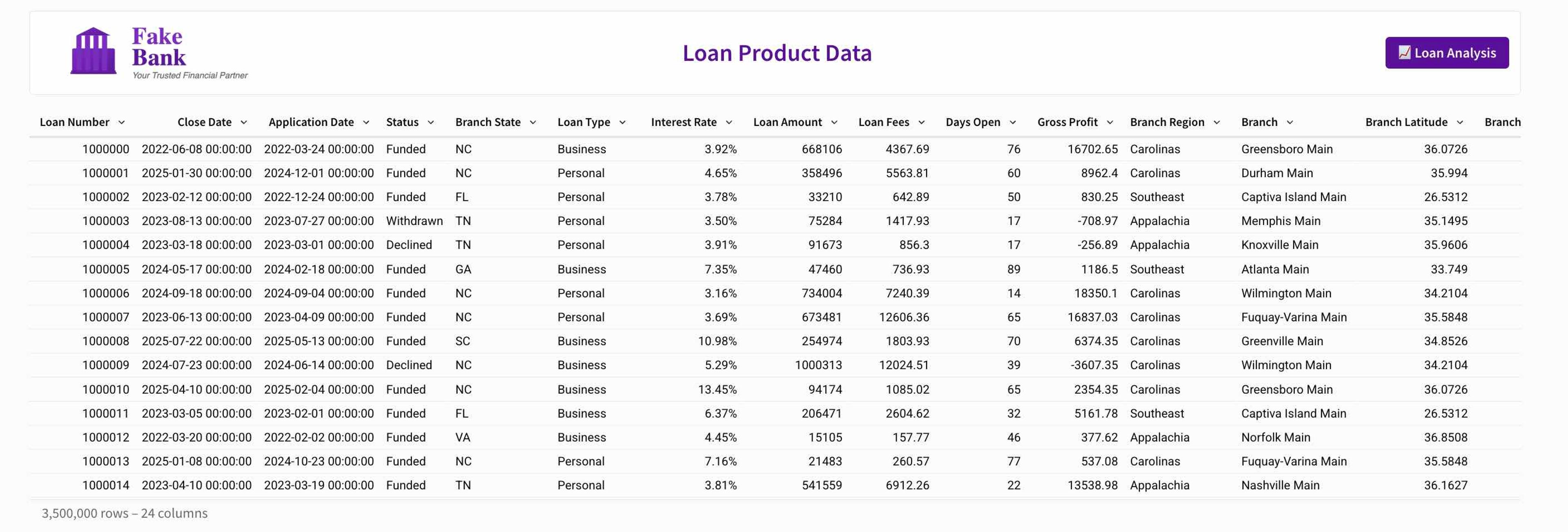 Ad hoc analysis example showing a loan portfolio dataset with customer, branch, loan, and profit metrics