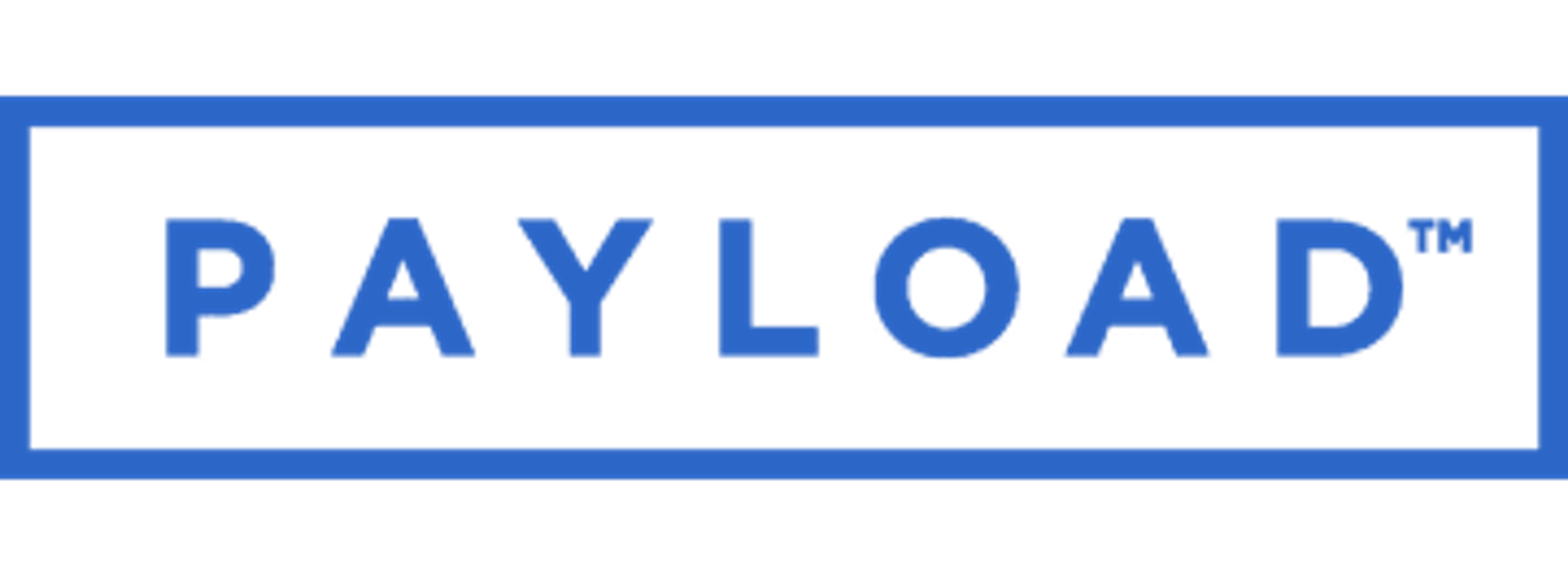 payload logo