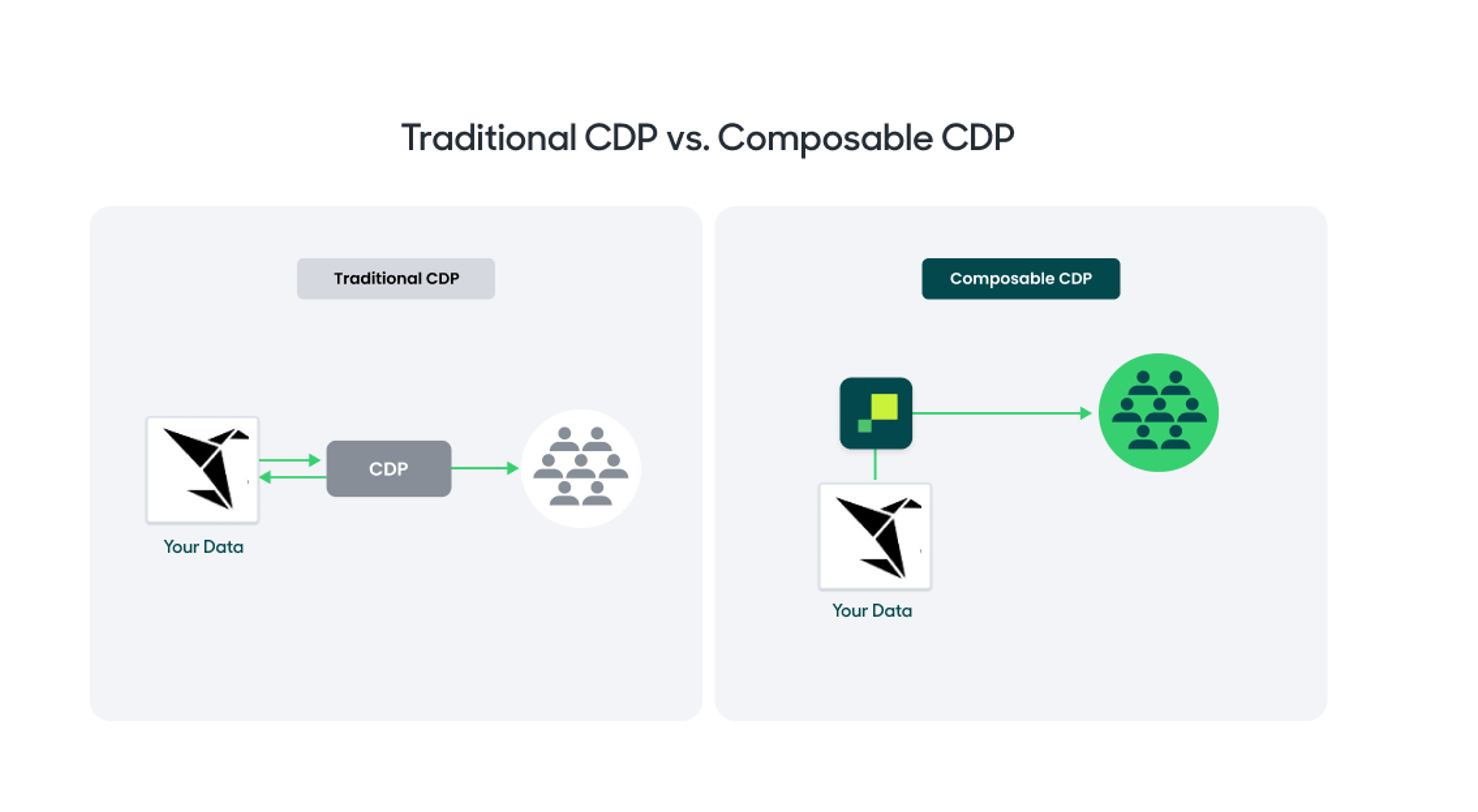 A white and black image of a penguin with the words Traditional CCP vs Comprehensive CCP.