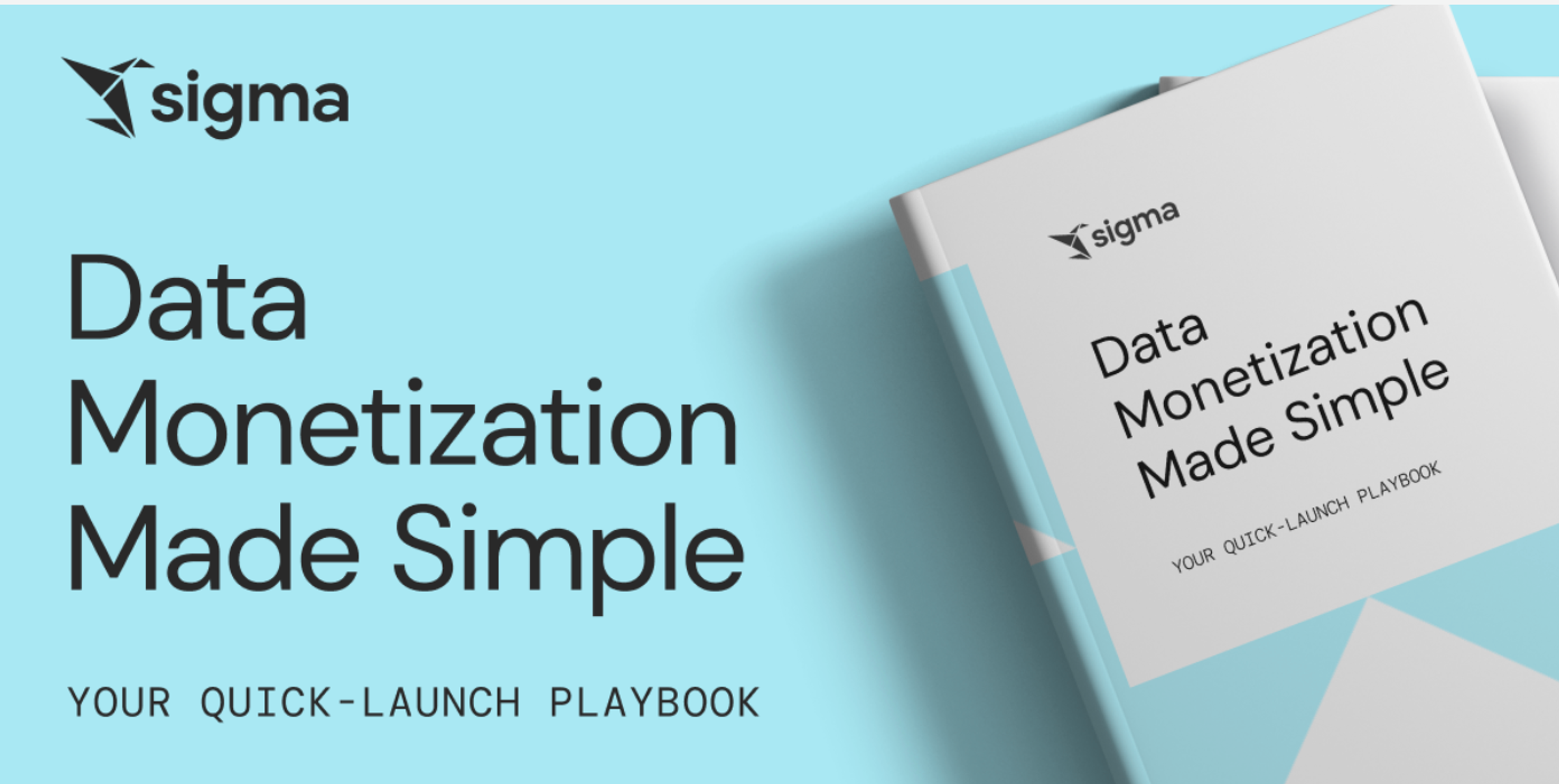 Data Monetization Made Simple