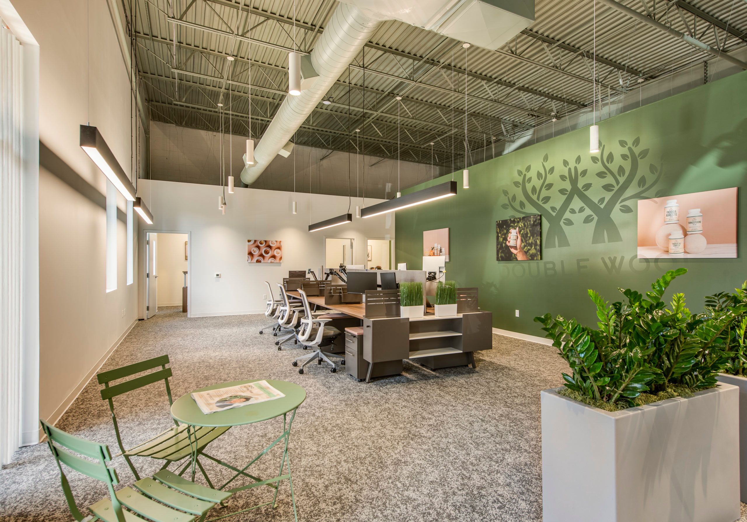 Double Wood Supplements' open-plan office, with rows of desks beside a green wall featuring the company's tree logo and product photography