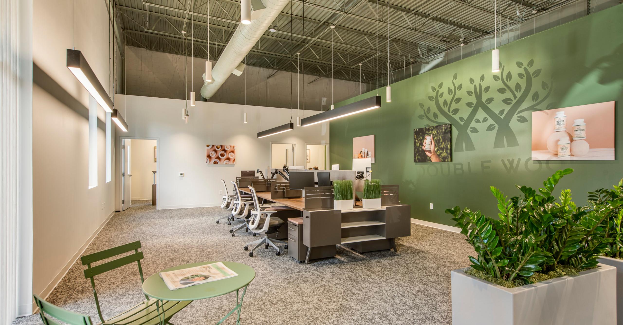 Double Wood Supplements' open-plan office, with rows of desks beside a green wall featuring the company's tree logo and product photography