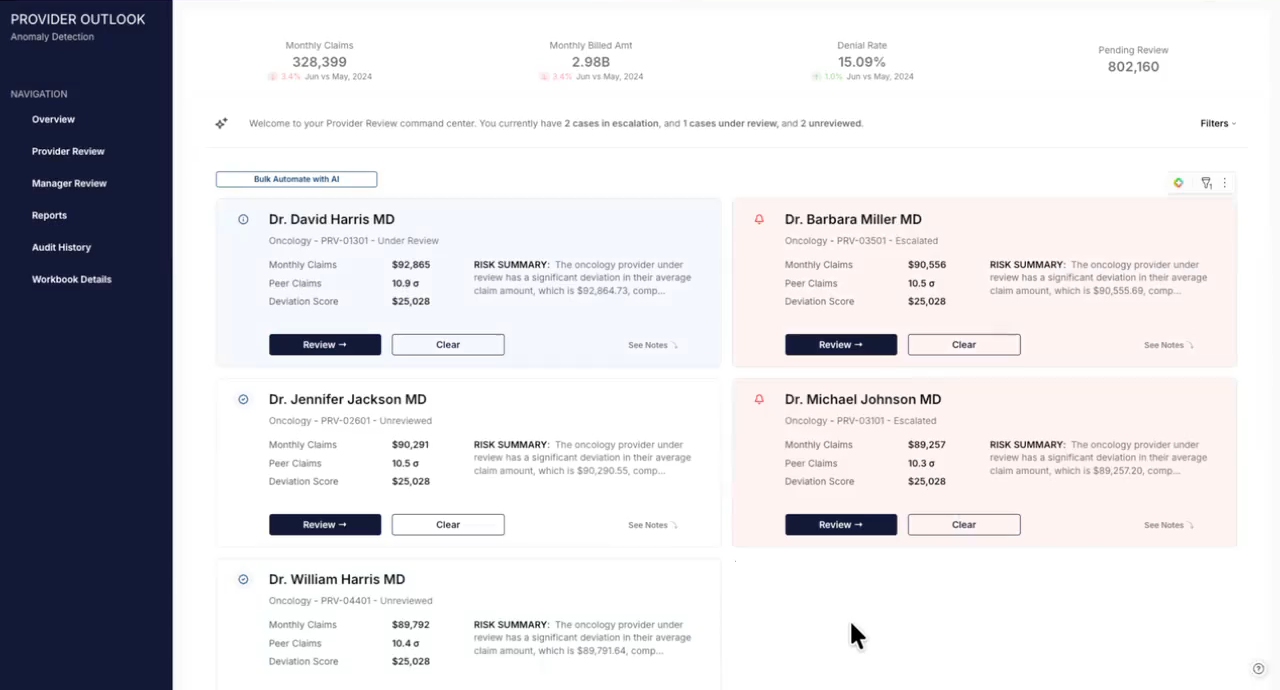 Provider anomaly detection app showing flagged provider cases with risk summaries and statuses