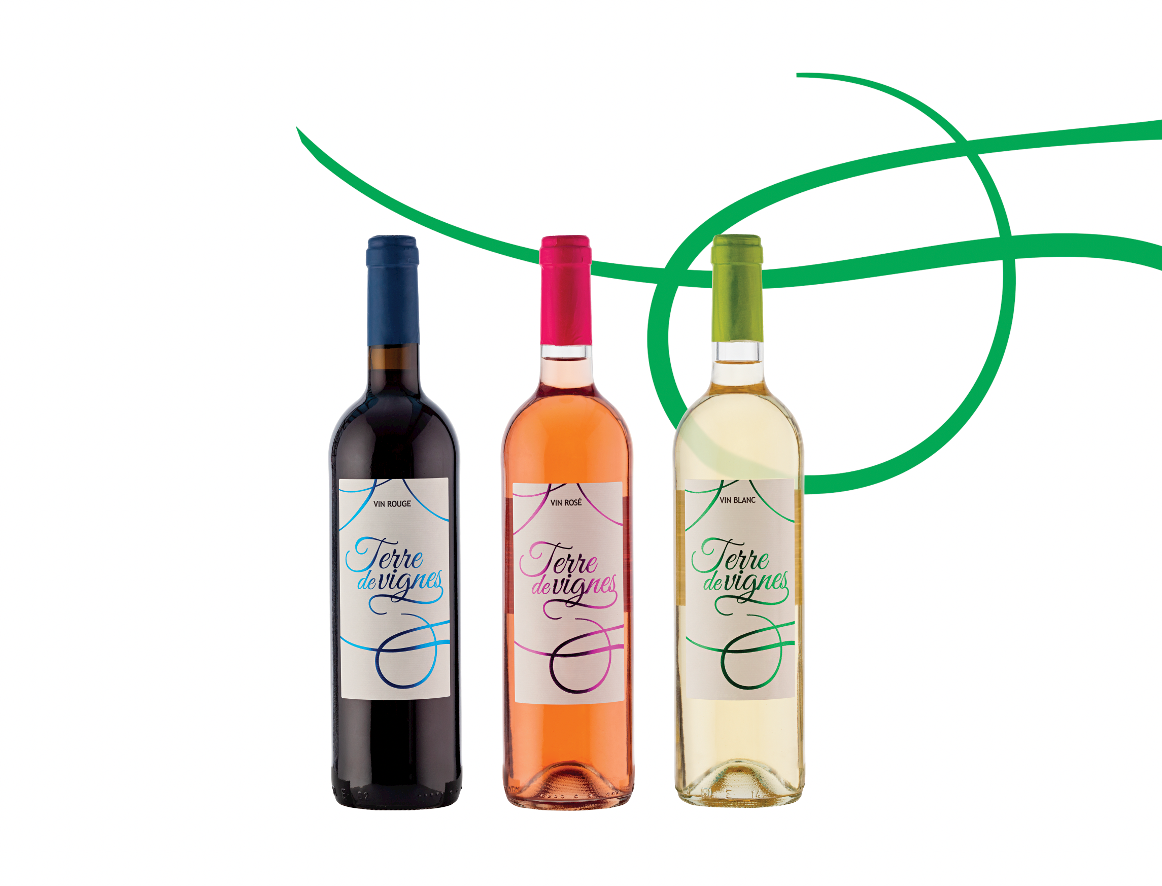 TERRE DE VIGNES