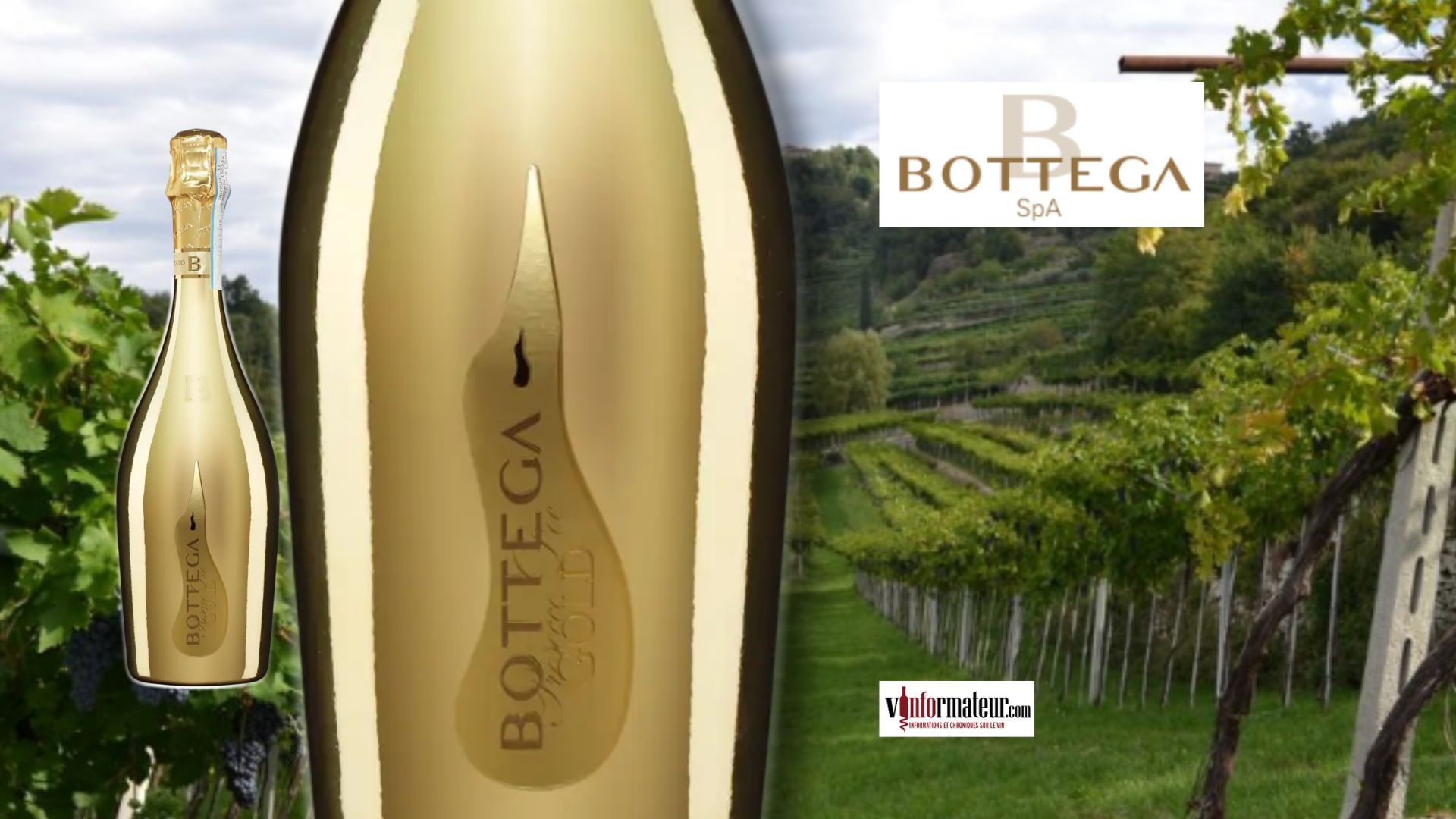 BOTTEGA