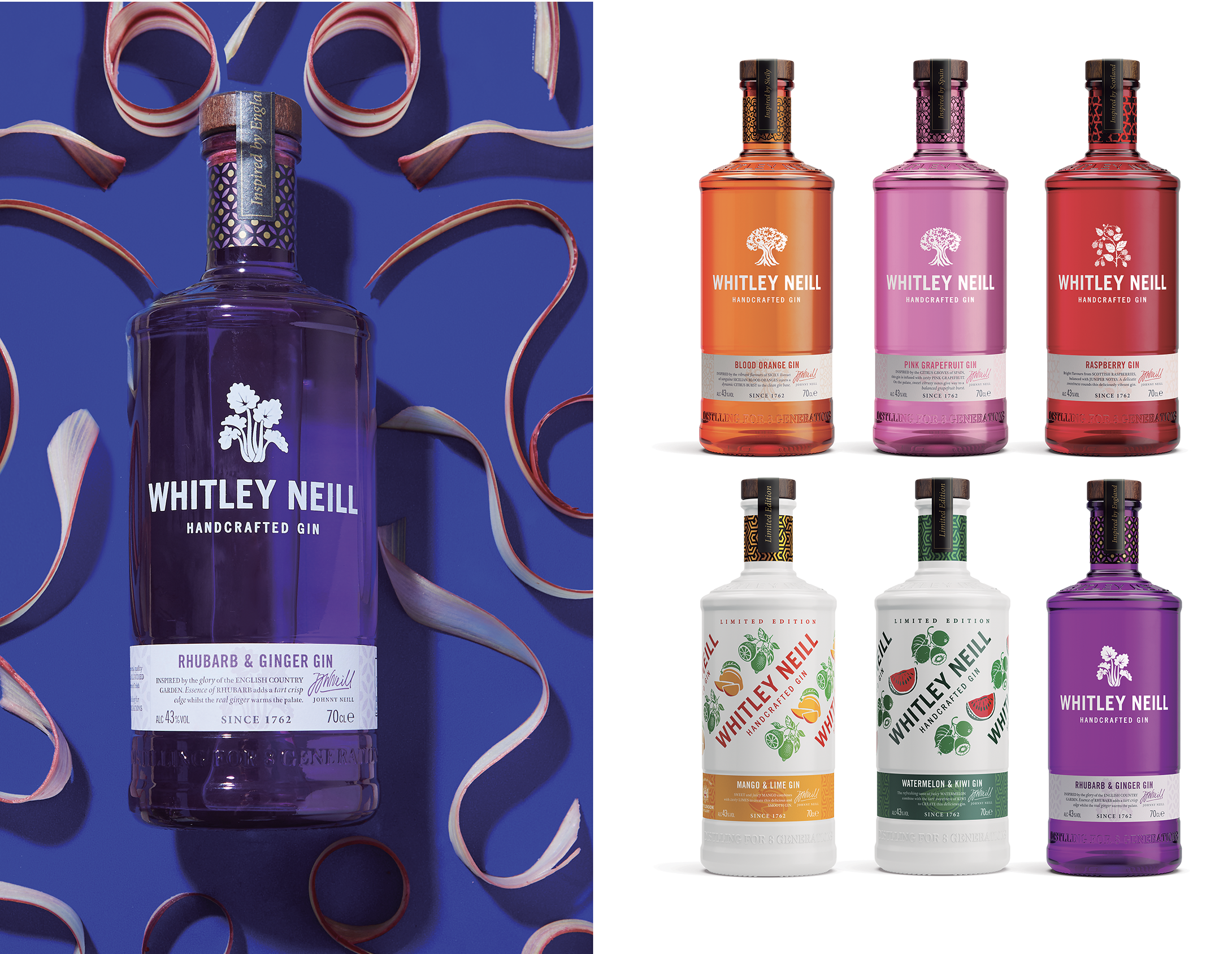 GIN WHITLEY NEILL