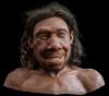 Neanderthaler Krijn