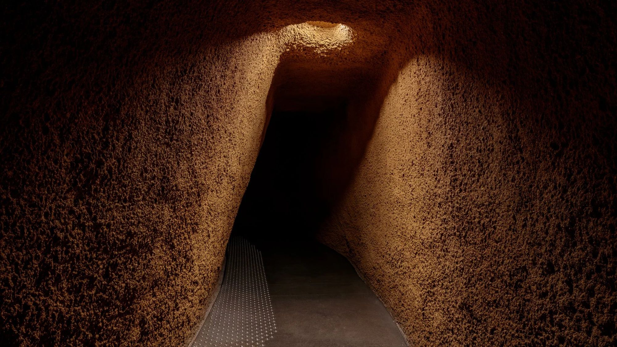 Insectarium de Montréal — photographie d'architecture