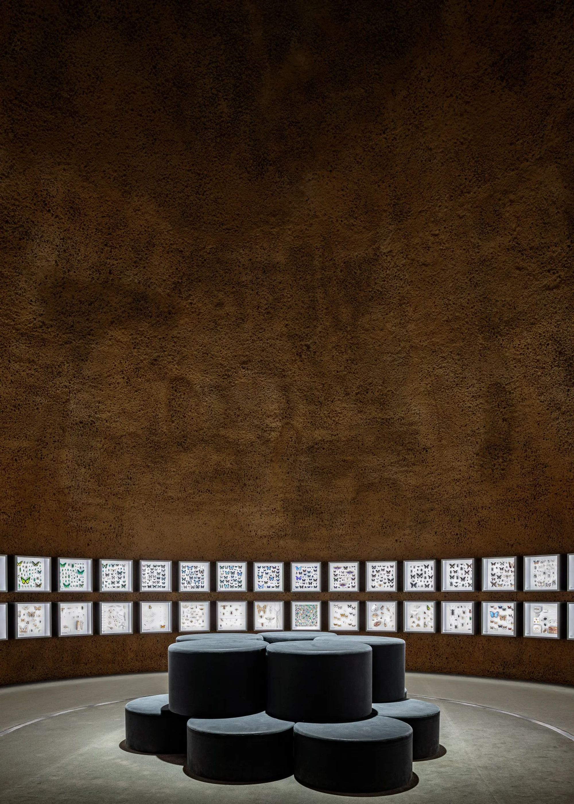 Insectarium de Montréal — photographie d'architecture