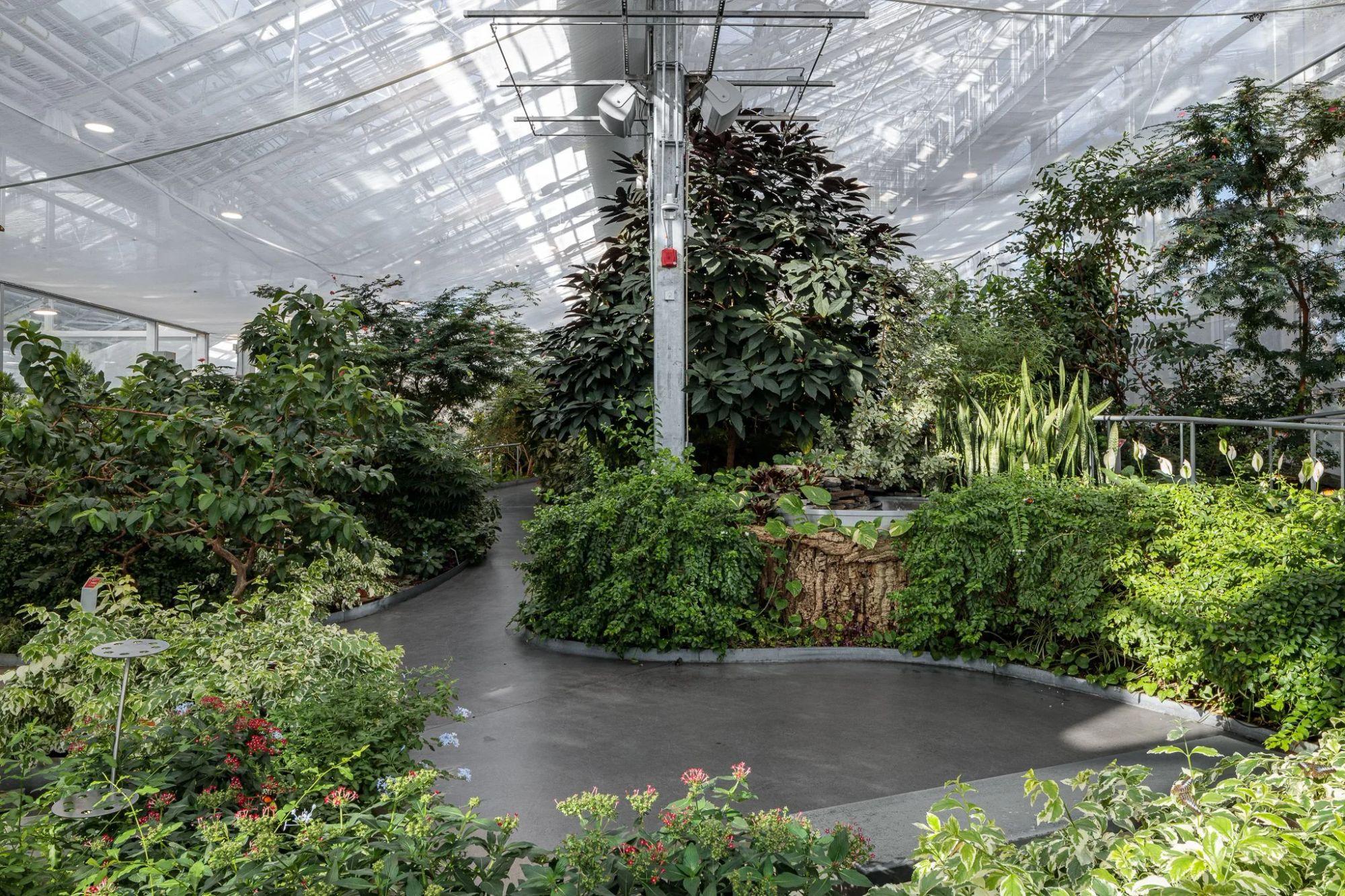 Insectarium de Montréal — photographie d'architecture