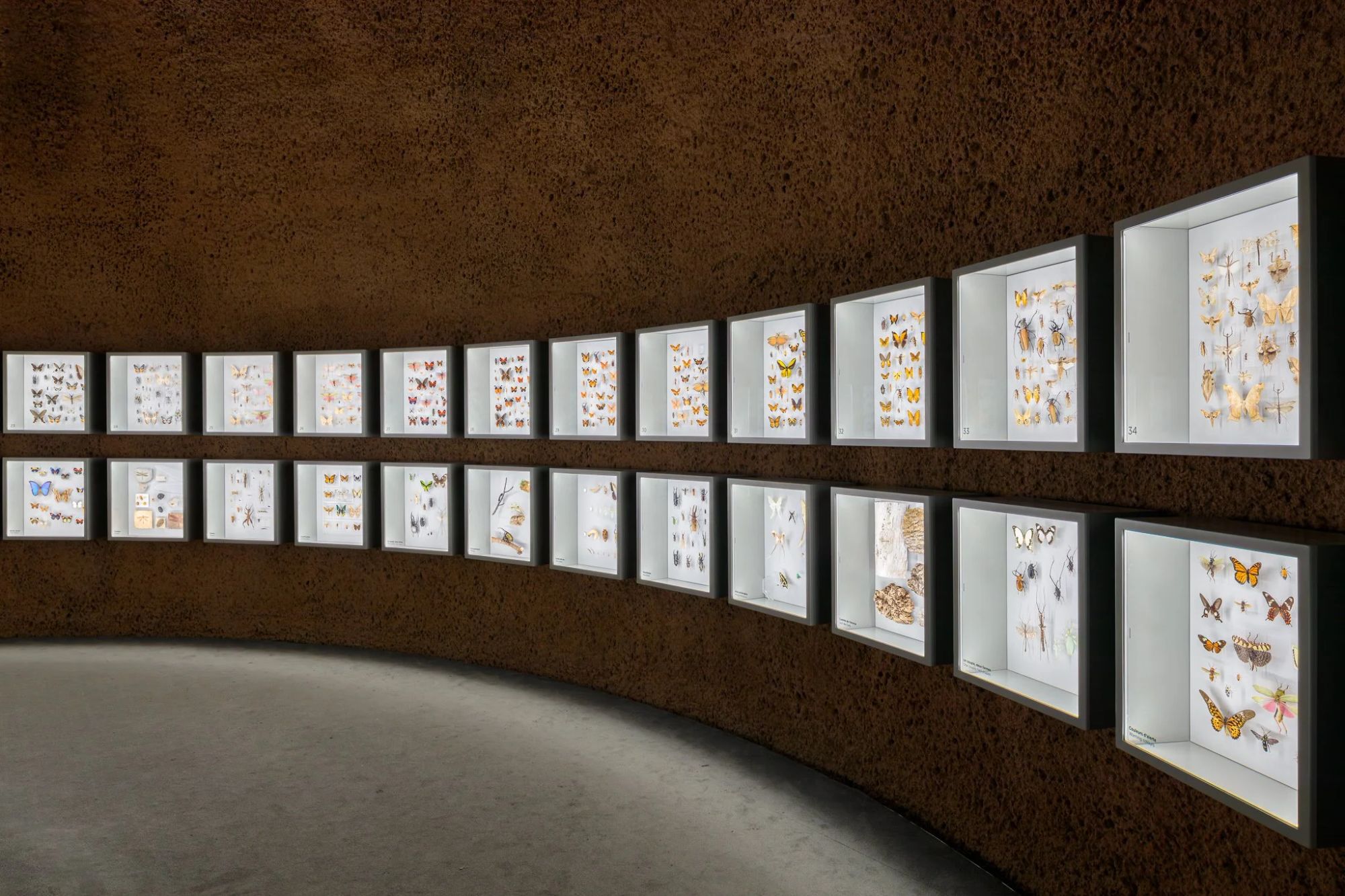 Insectarium de Montréal — photographie d'architecture