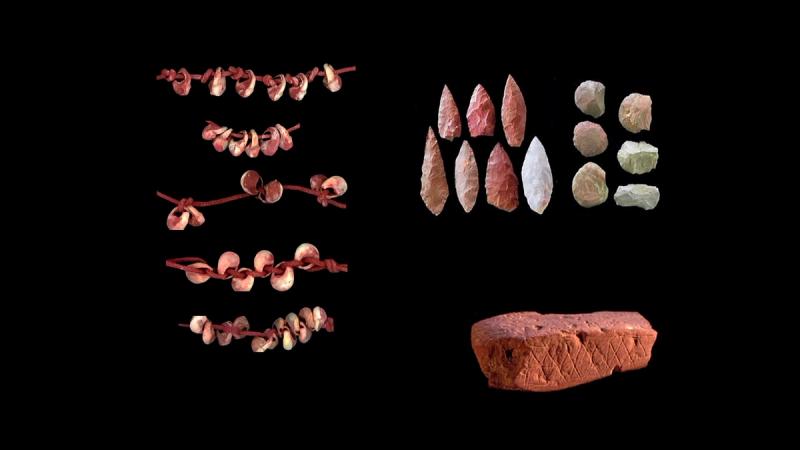 Copertina di Homo: un essere oltre natura