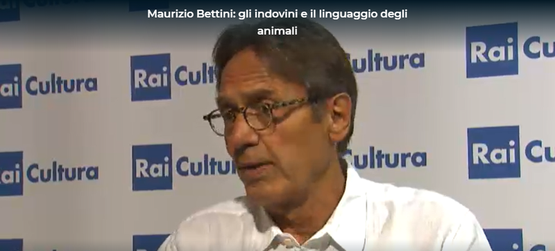 Copertina di Gli indovini e il linguaggio degli animali