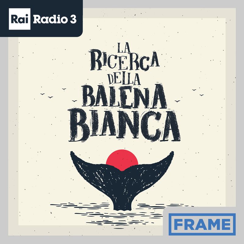 Copertina di La ricerca della balena bianca