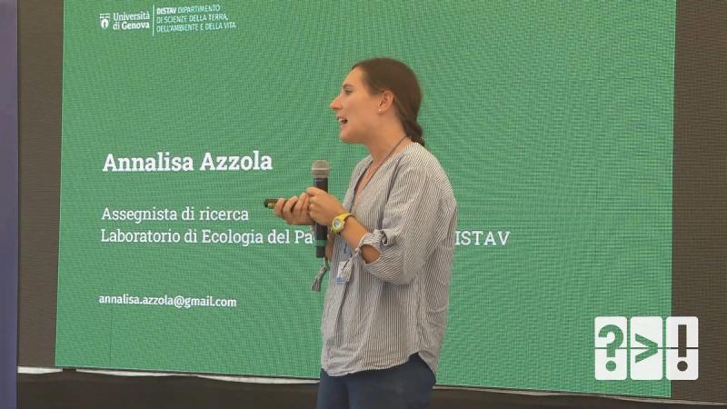 Copertina di La ricerca delle scienze umane e sociali