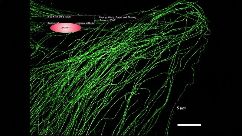 Copertina di Il vivente alla nanoscala sulle nuvole
