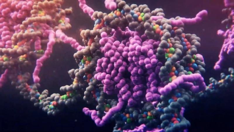 Copertina di Visioni al carbonio