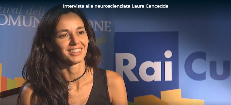 Copertina di Il cervello, un'evoluzione mai finita