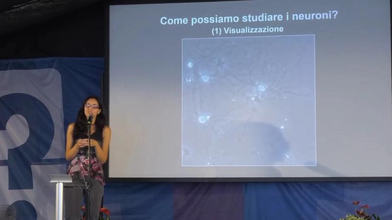 Copertina di Le connessioni cerebrali