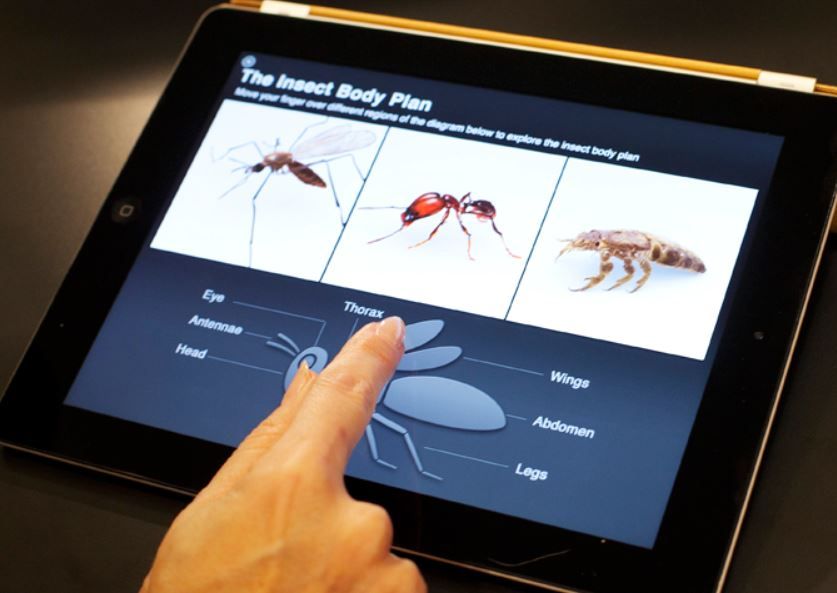 El libro digital de texto interactivo favorece la participación del estudiante