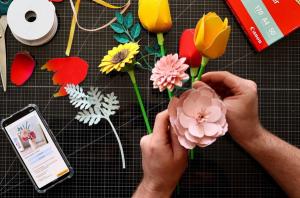 Canon Pixma: ramos de papel