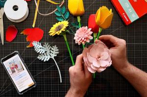 Canon Pixma: ramos de papel Canon Pixma: ramos de papel