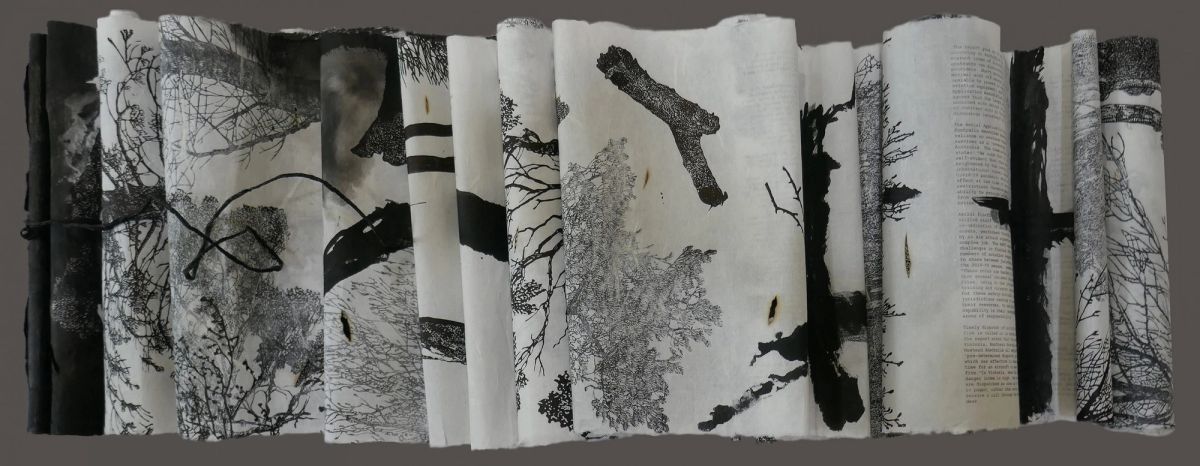 2021 Award of Excellence winner, Dianne Fogwell, The Dead Tree Scroll Silent Extinction, 2021