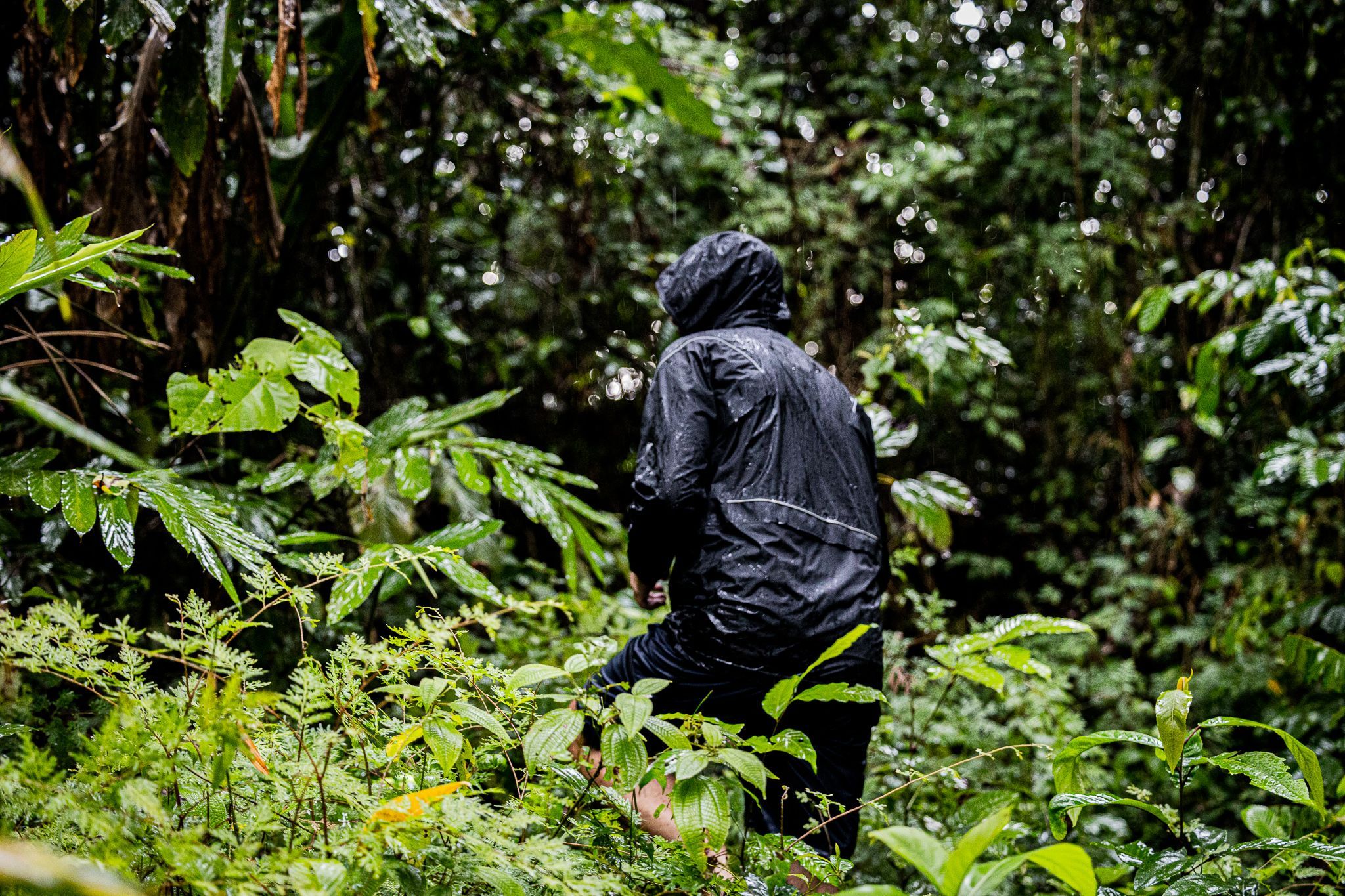 Nomad(e) Ultralight Jacket by Graphene-X