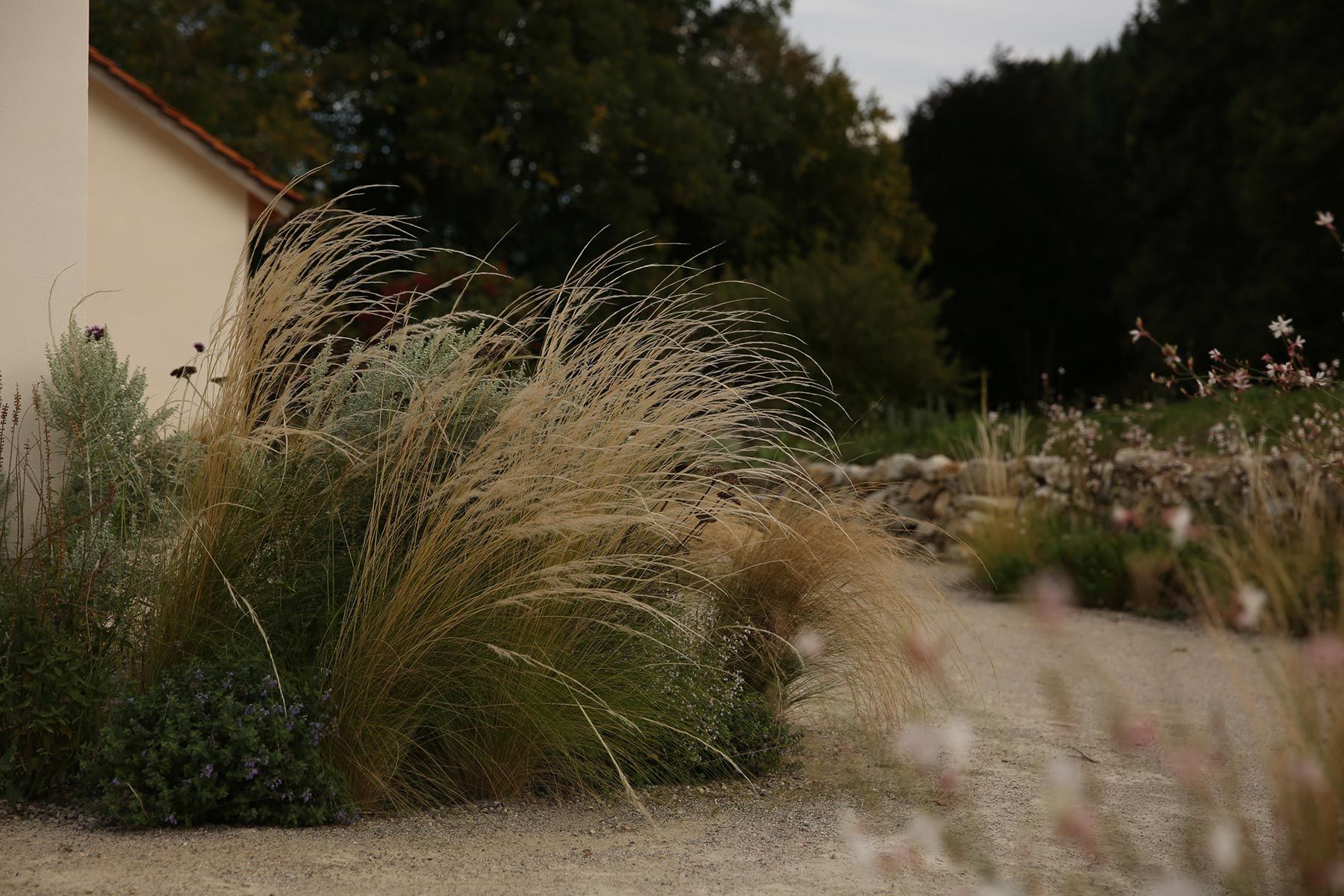 J. Mullan Gardens & Landscapes drought resilient plantings