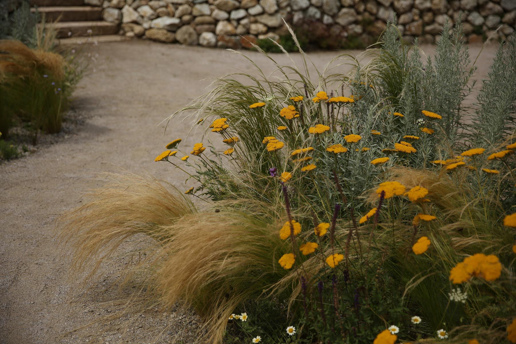 J. Mullan Gardens & Landscapes drought resilient plantings