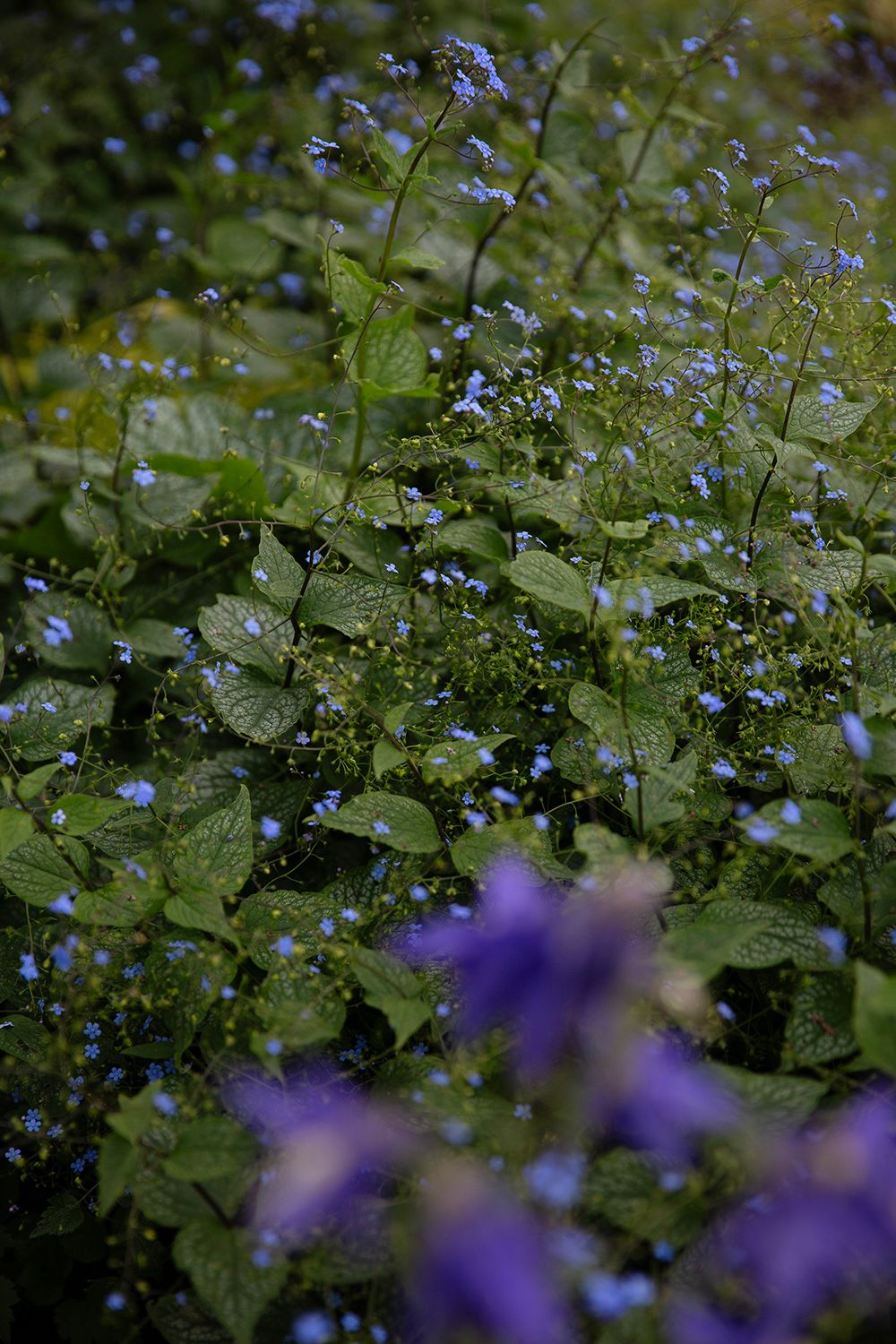 gartengestaltung wien