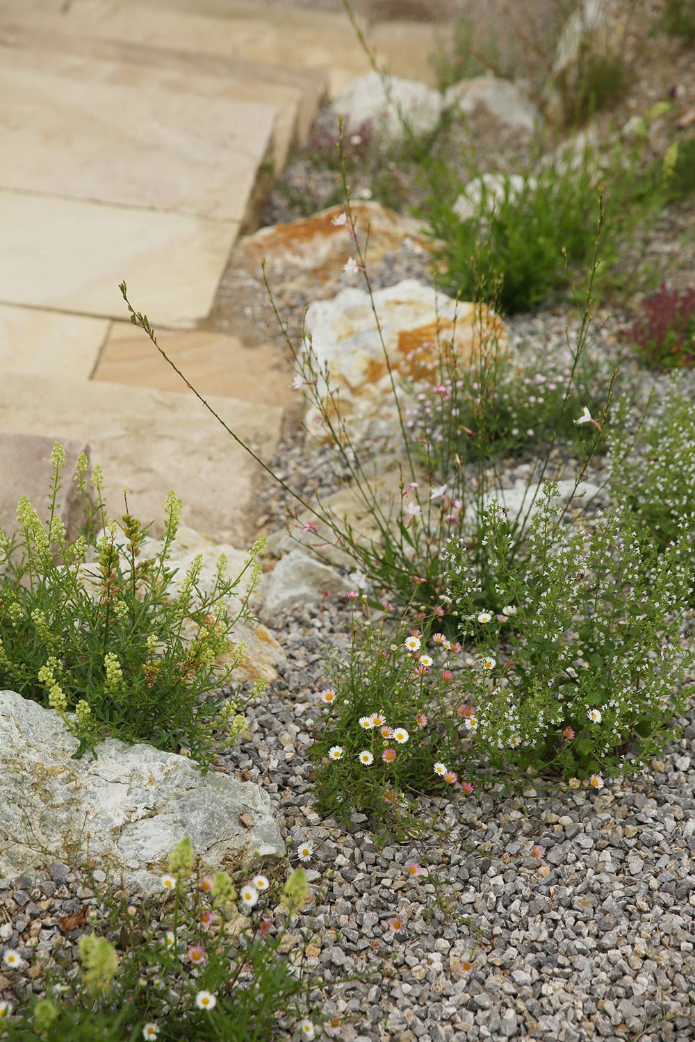 naturnahe gartengestaltung wien
