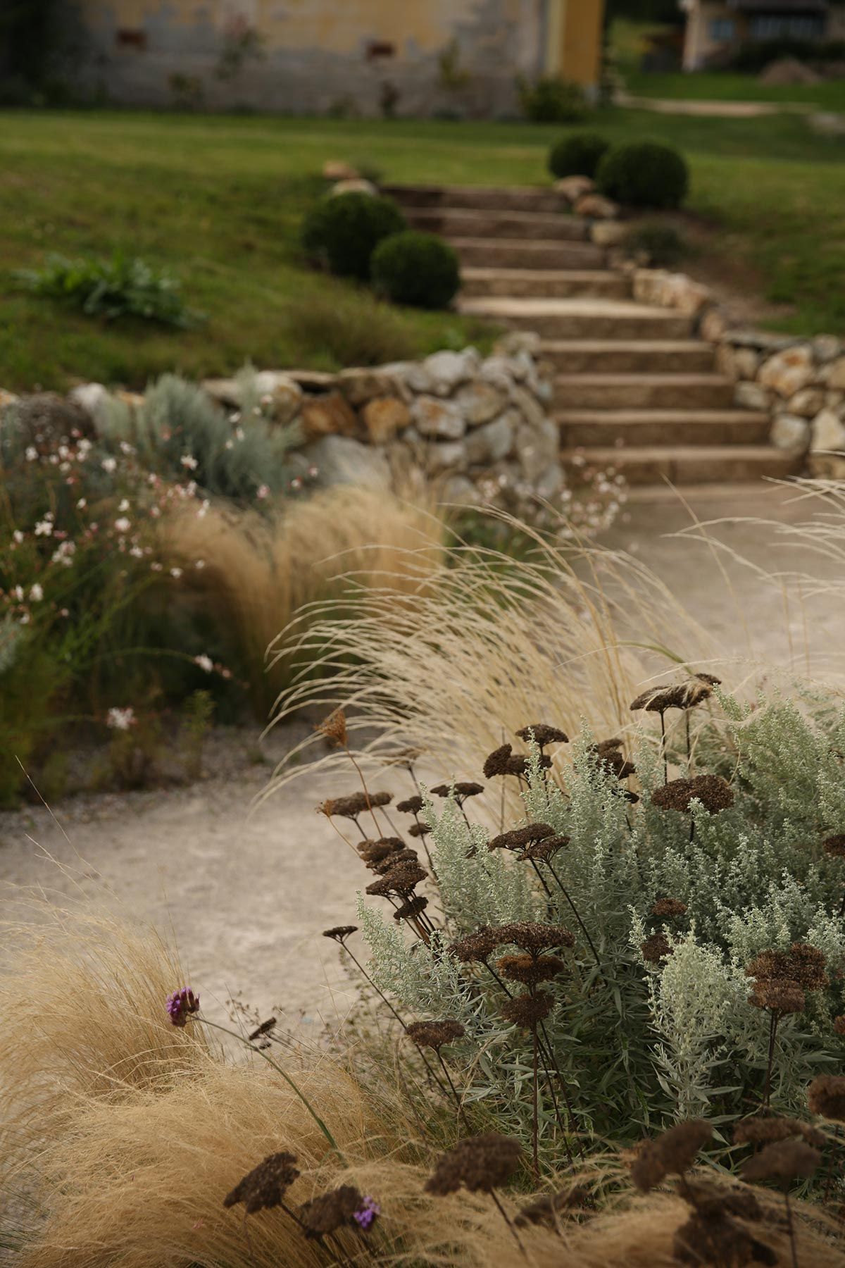 J. Mullan Gardens & Landscapes drought resilient plantings