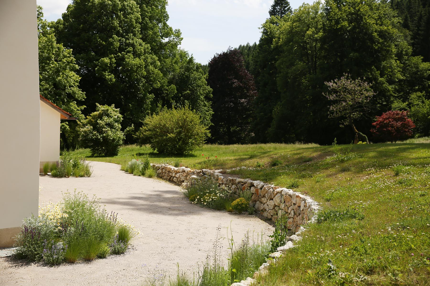 J. Mullan Gardens & Landscapes drought resilient plantings