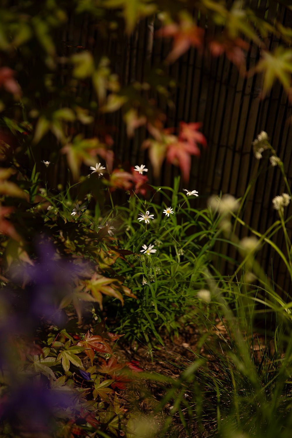 gartengestaltung wien