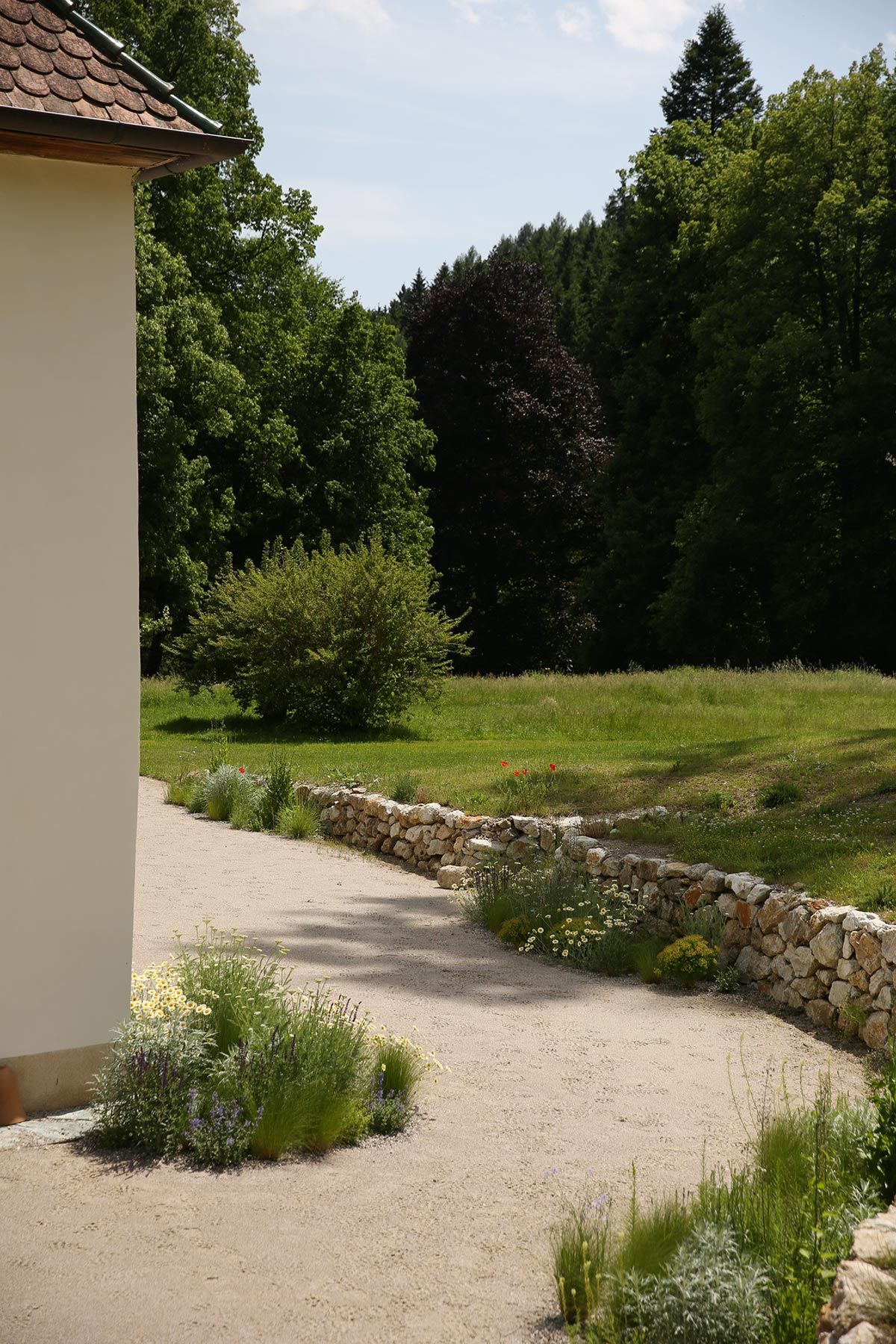 J. Mullan Gardens & Landscapes drought resilient plantings