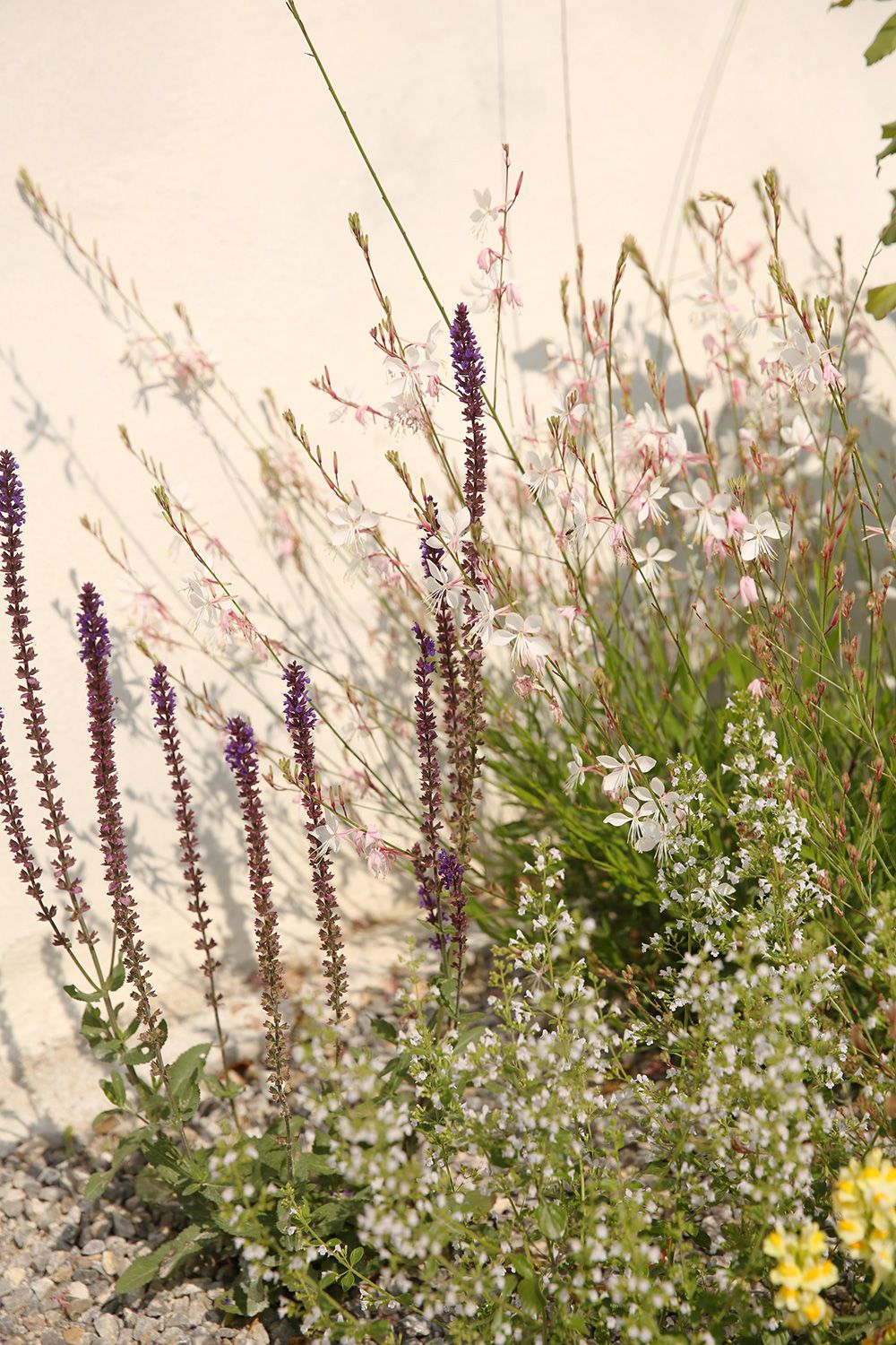 naturnahe gartengestaltung wien