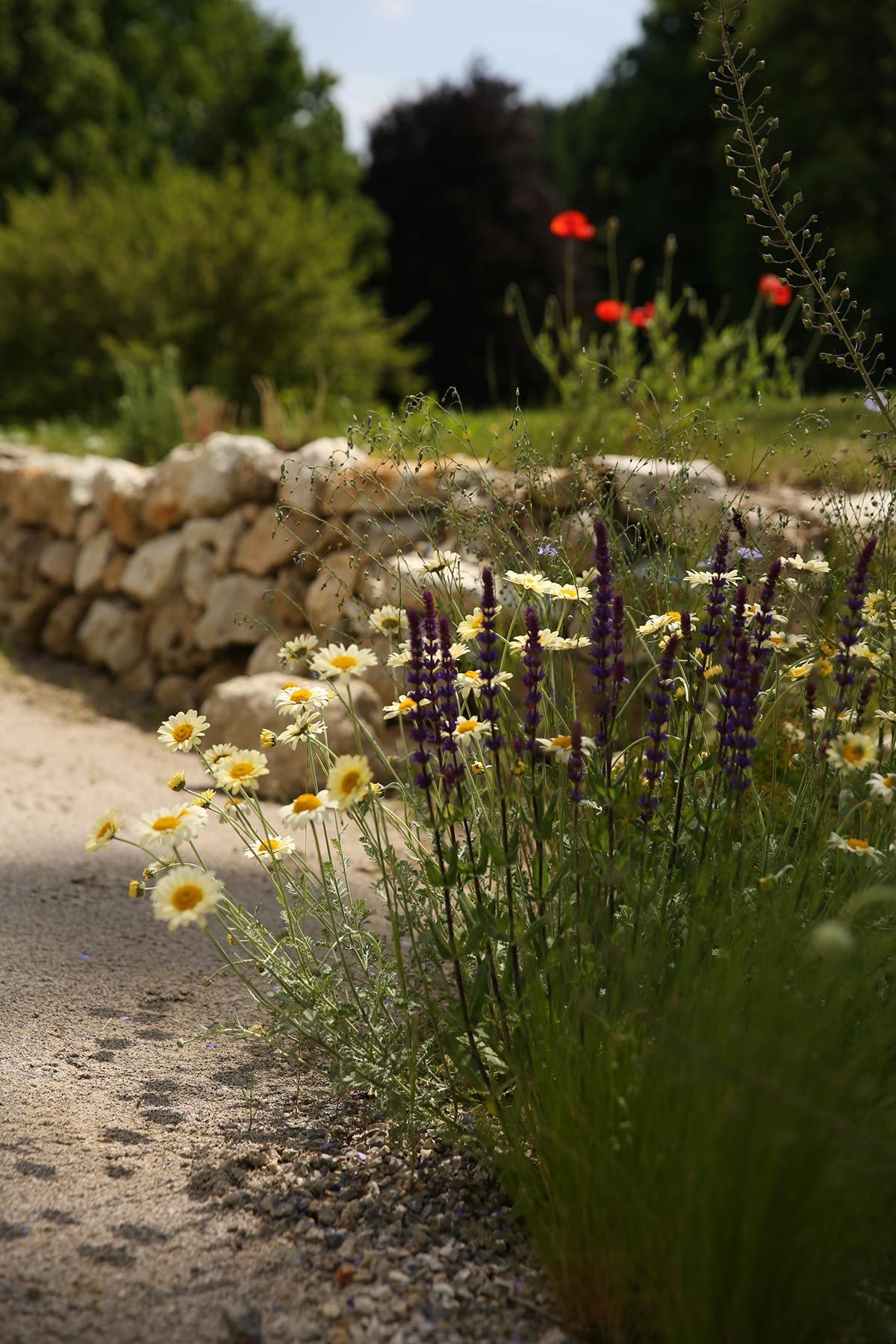J. Mullan Gardens & Landscapes drought resilient plantings