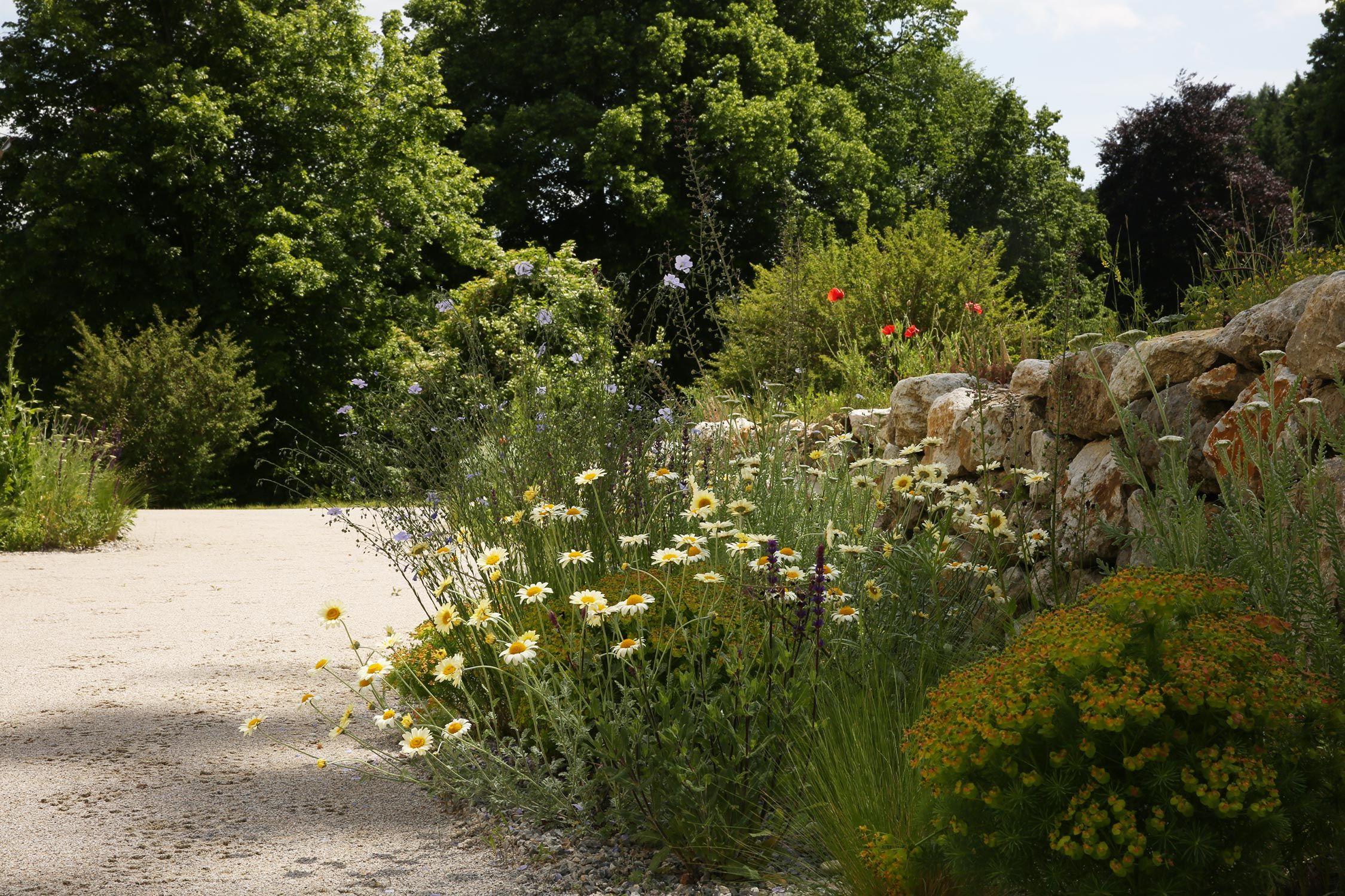 julian mullan gardens & landscapes wild plantings