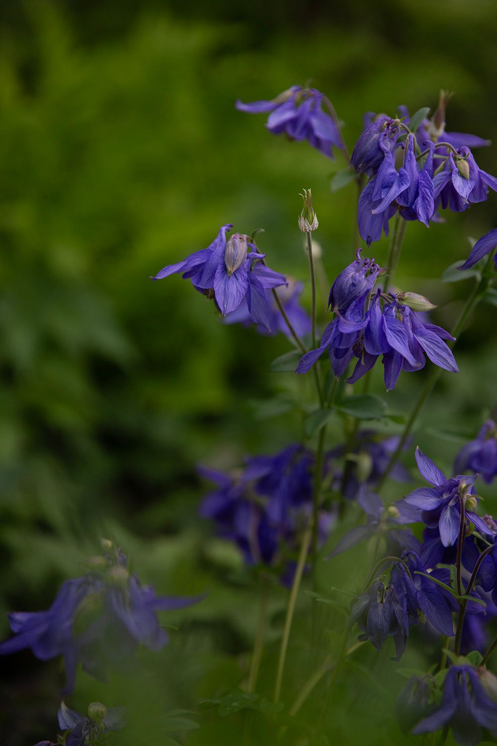 gartengestaltung wien