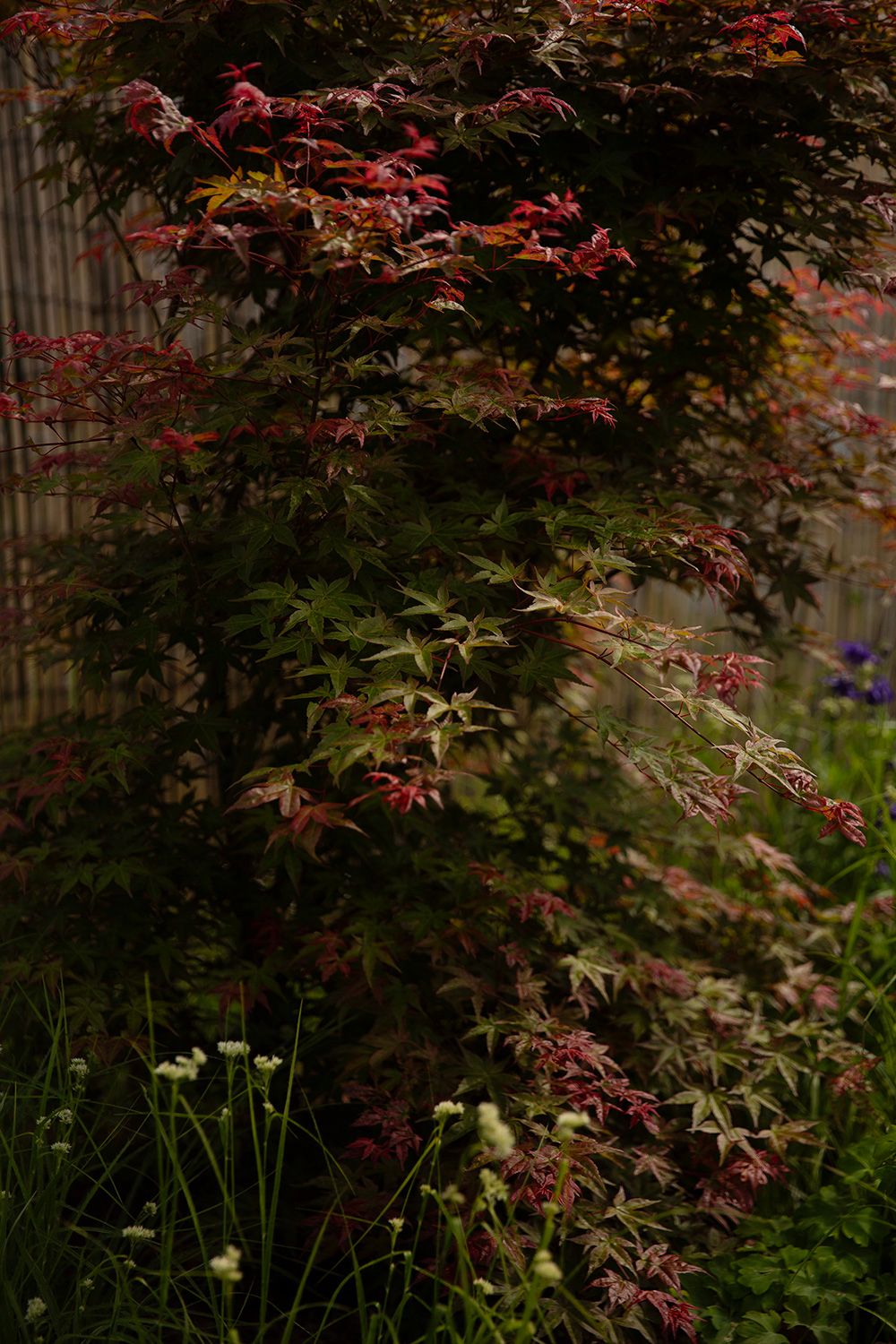 Gartengestaltung Wien