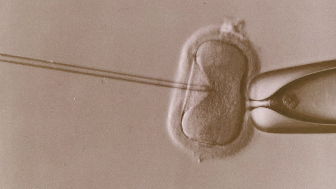Prisliste for fertilitet
