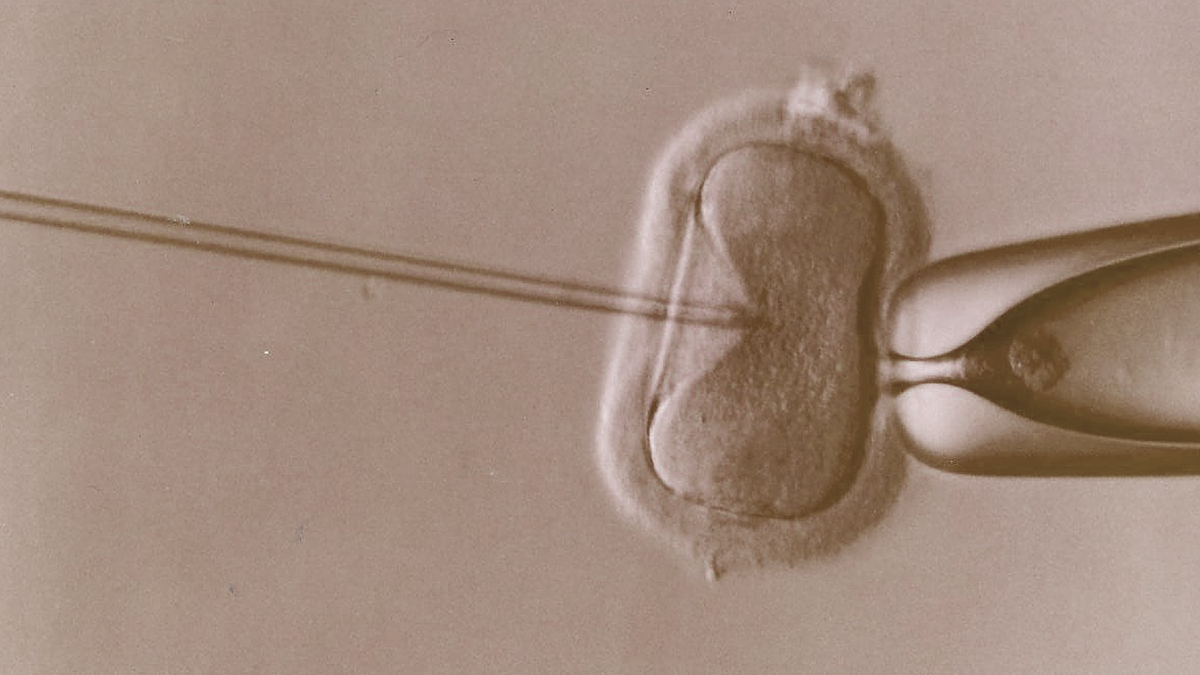 Prisliste for fertilitet