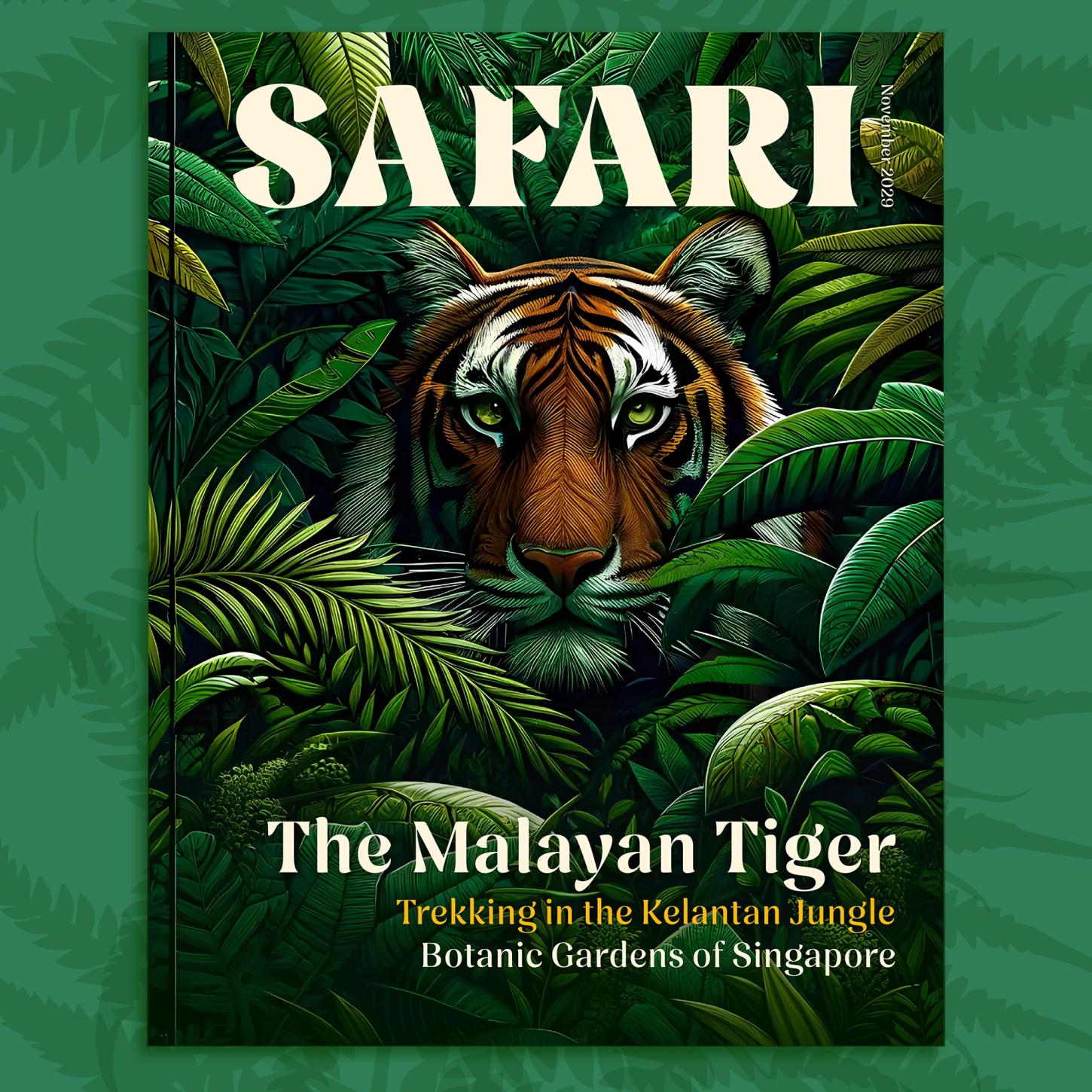 Nave Typeface - Safari Magazine - Fonts in Use