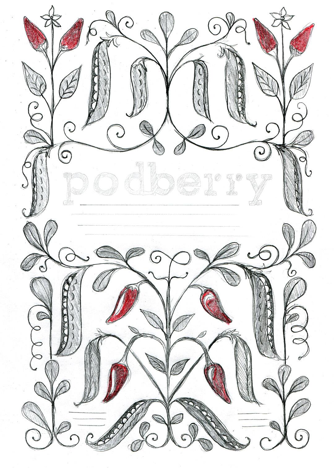 Podberry packaging illustration design – Sketch Chilli