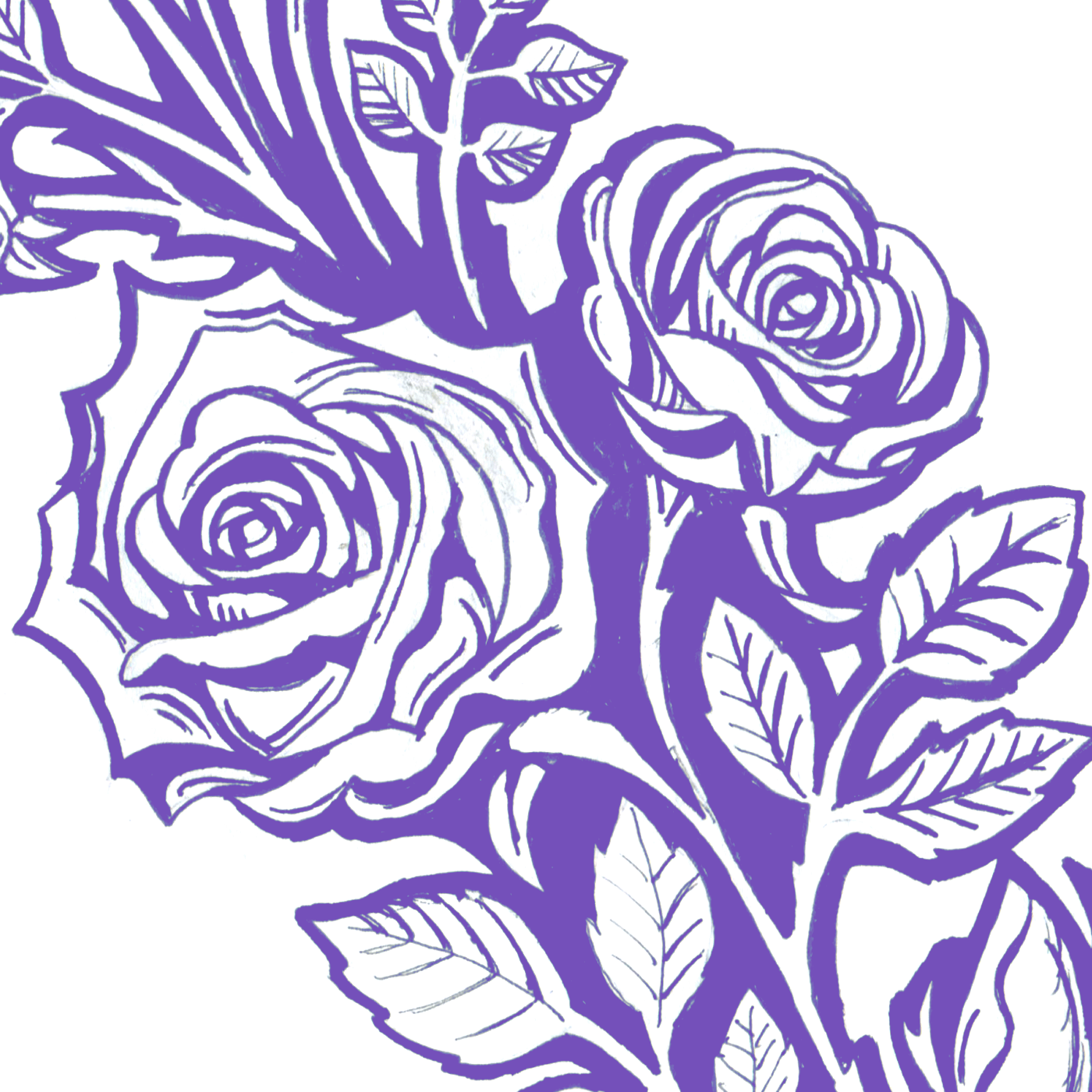 Ornate Pouchée inspired ampersand sketch chocolate packaging