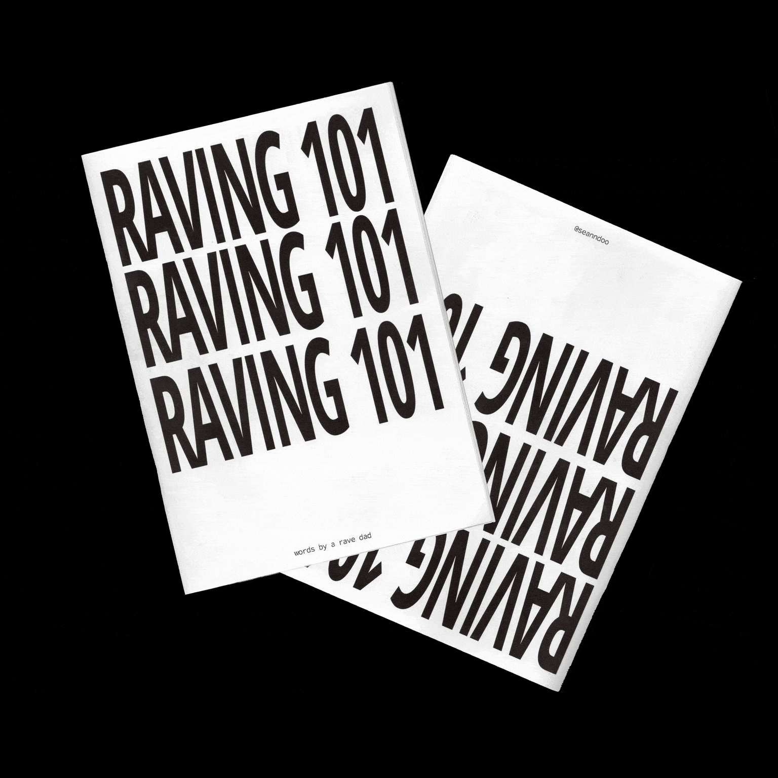 Raving 101 Zine